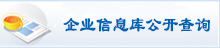 企业信息库公开查询
